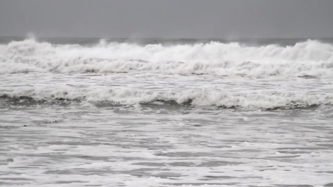 圣地亚哥大浪和冲浪与海鸥