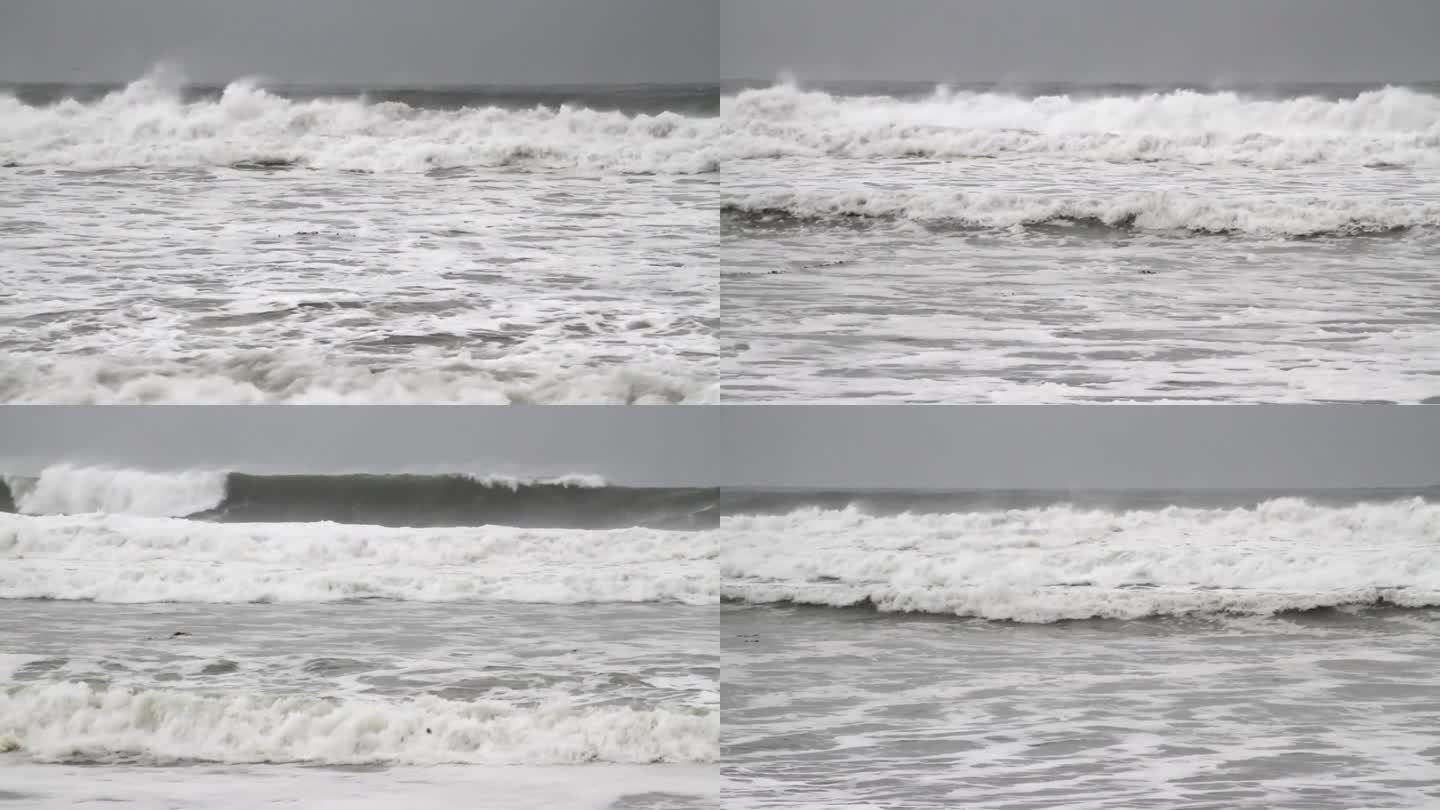 圣地亚哥大浪和冲浪与海鸥