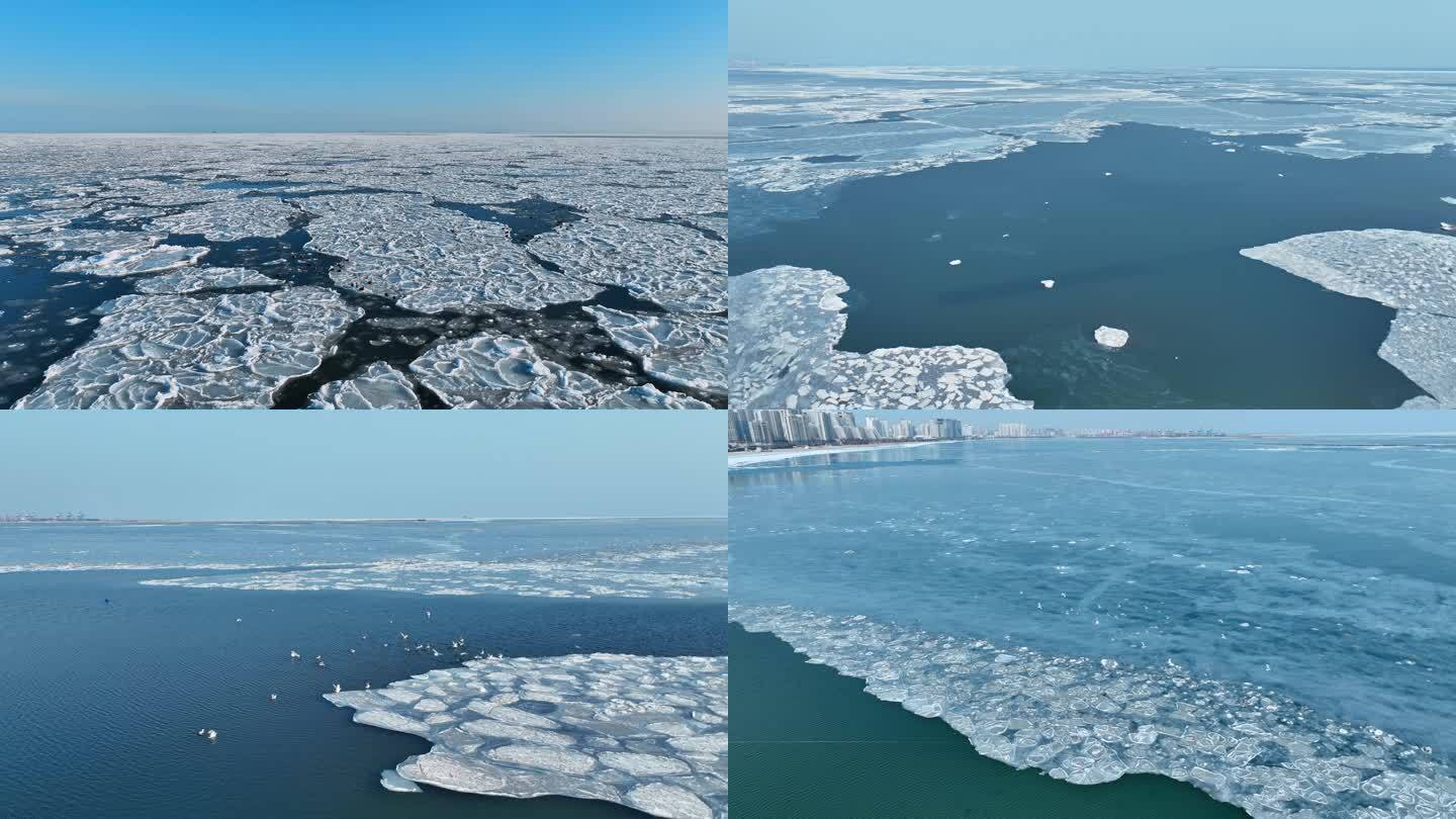 秦皇岛冬季海边冻海