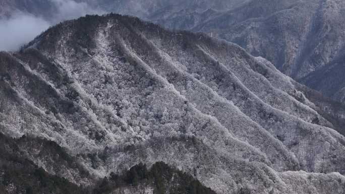 秦岭 雪景 雾凇 高清 4k 航拍