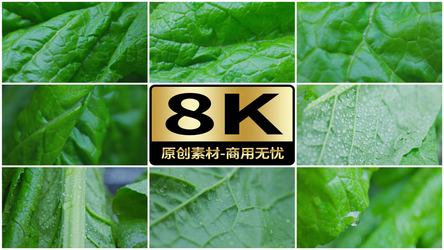 8K绿色蔬菜微观特写
