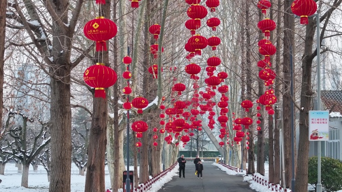 江苏淮安：灯笼高挂迎新年