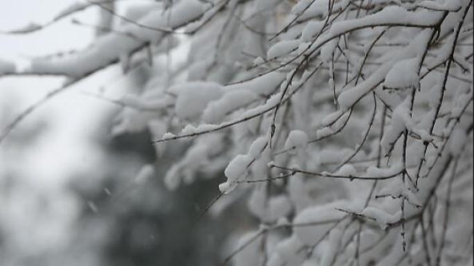 雪景大雪白雪茫茫 大雪覆盖山林