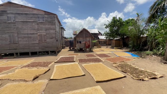 在Ambinanitelo，丁香被铺在编织的垫子上，在房屋之间晾干。马达加斯加。