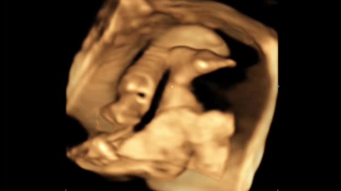 胎儿在母体子宫内的4D超声运动。人生观念，科学发现