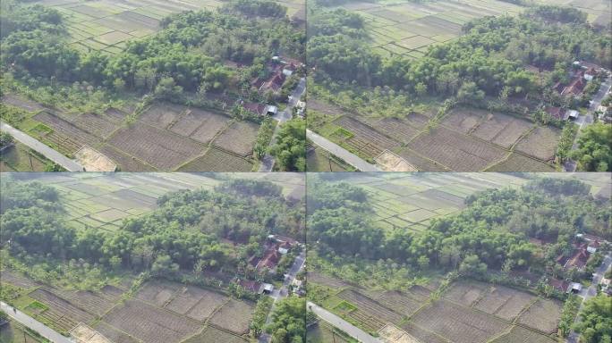 无人机拍摄的农村地区和农业用地在布劳拉，中爪哇，印度尼西亚