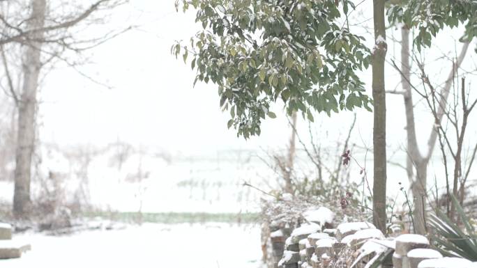 冬天下雪村庄雪花8