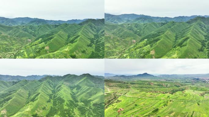 河北宣化红石山夏日 山岭之间层林叠翠