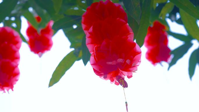 过年春节节日气氛 买年货，集市赶集