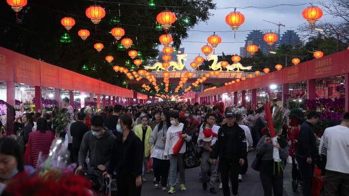 龙年花灯花市春联买年货