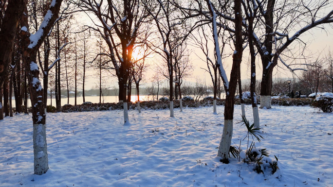 雪景 雪 树林 傍晚雪景 穿越树林 湖边