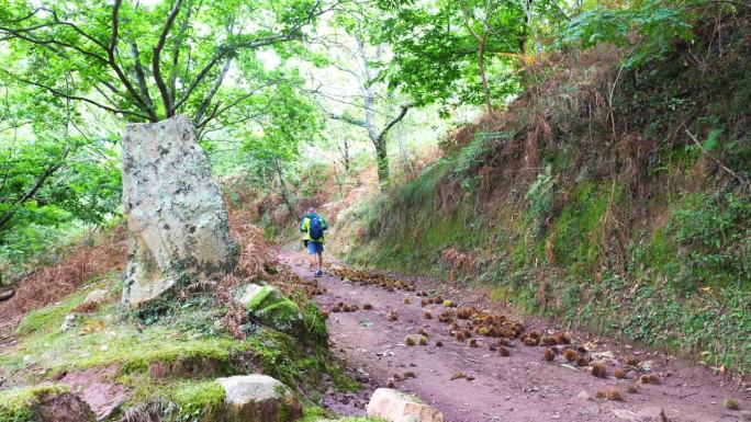 一个成熟的男人在法国巴斯克地区的山区徒步旅行