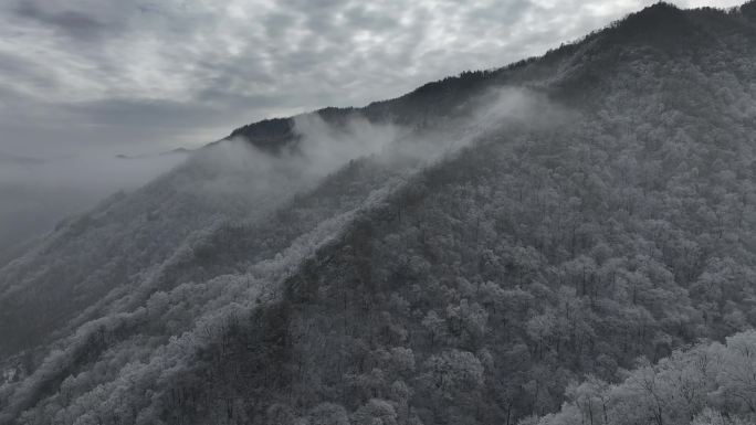 秦岭 雪景 雾凇 高清 4k 航拍