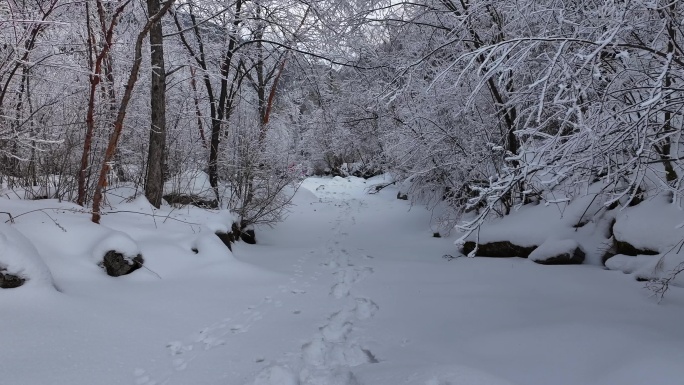 秦岭 雪景 雾凇 高清 4k 航拍