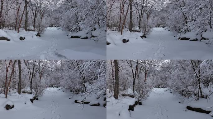 秦岭 雪景 雾凇 高清 4k 航拍