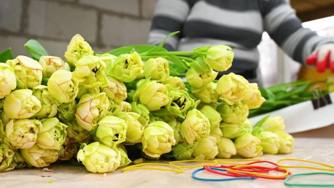 卖花者或花商在温室或花店的背景下收集一束黄色的牡丹形郁金香。春节