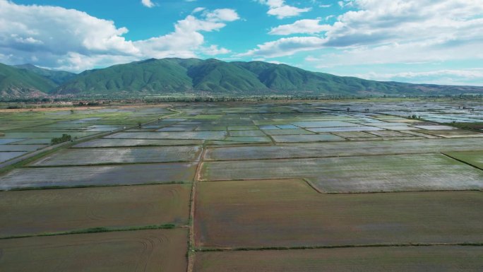 抽象几何形状的水稻农业地块被水淹没，用于水稻播种，空中无人机拍摄