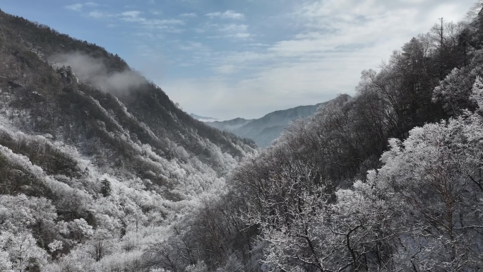 秦岭 雪景 4k 航拍 秦岭服务区