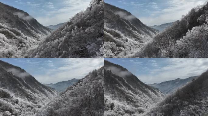 秦岭 雪景 4k 航拍 秦岭服务区