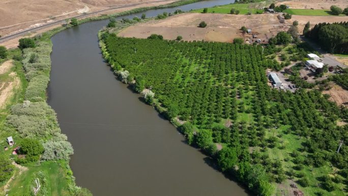 无人机拍摄的亚基马河穿过一个大苹果园。