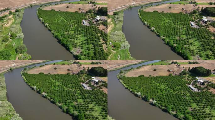 无人机拍摄的亚基马河穿过一个大苹果园。