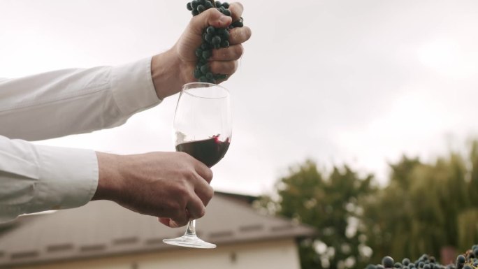 酿酒师用手将新鲜成熟的葡萄汁挤进透明的酒杯中