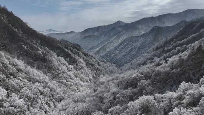 秦岭 雪景 航拍 秦岭服务区