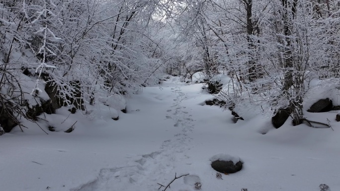 秦岭 雪景 雾凇 高清 4k 航拍