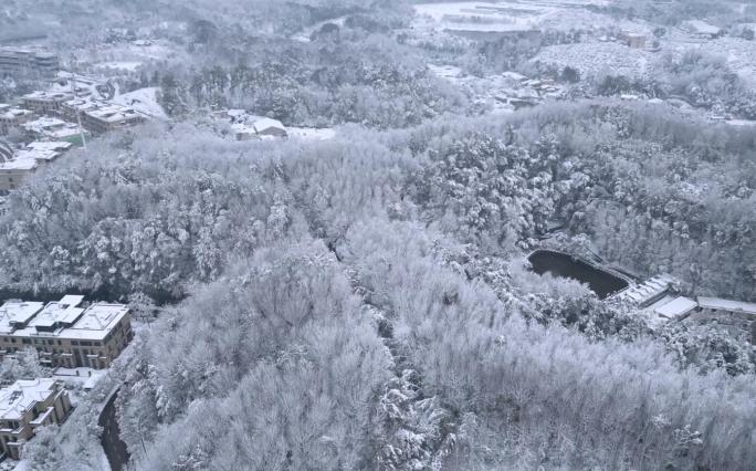 航拍大雪白雪茫茫长沙宣传