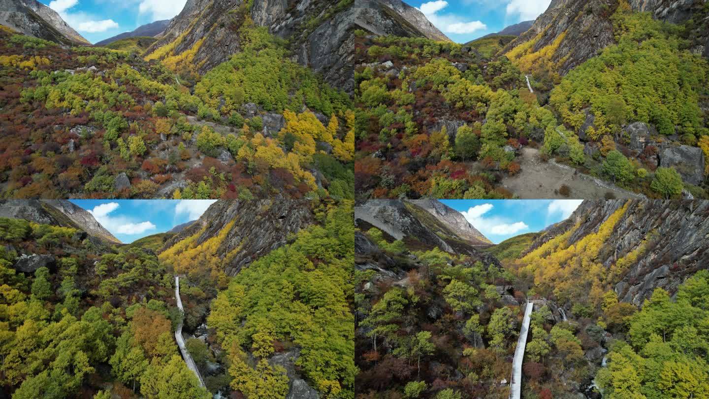 达古峡谷的山涧溪流和秋色盛景