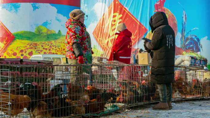 集市早市大集北方冬季新年鸡鸭活禽