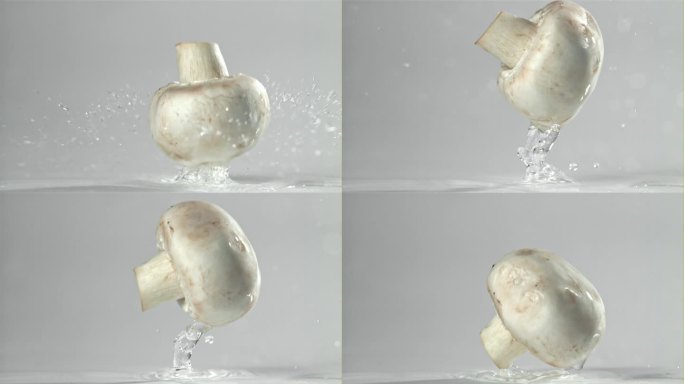 落在白色背景上的蘑菇。用高速摄像机拍摄，每秒1000帧。