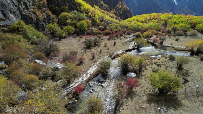 达古峡谷的山涧秋色和马