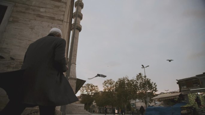 老人沿着清真寺散步，鸽子在清真寺入口处翱翔