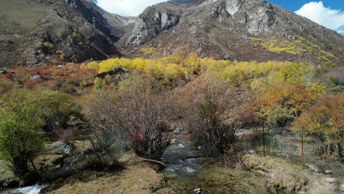 达古峡谷山涧溪流