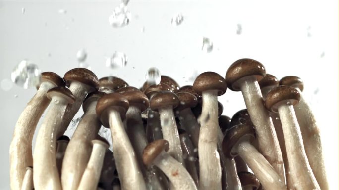 水滴落在新鲜的蘑菇上。用高速摄像机拍摄，每秒1000帧。