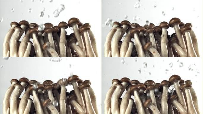 水滴落在新鲜的蘑菇上。用高速摄像机拍摄，每秒1000帧。