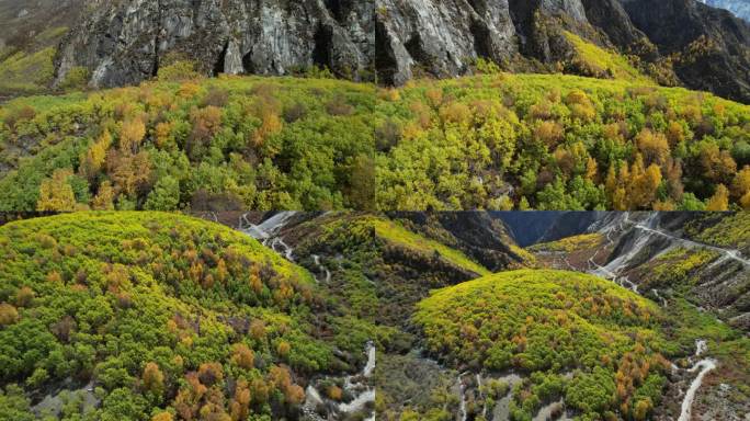 达古峡谷的山涧秋色掠过黄色树林的树梢