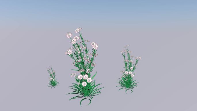 风中摇摆的花，带透明通道，三D渲染