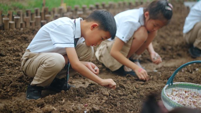 小学生自然课种地社会实践