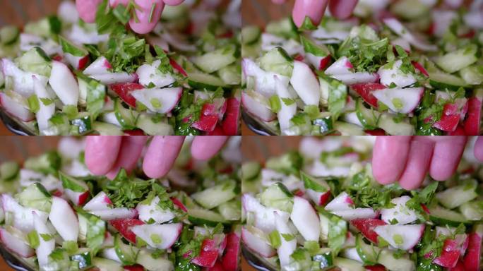 厨师洒香菜新鲜蔬菜沙拉与萝卜，黄瓜，绿色蔬菜