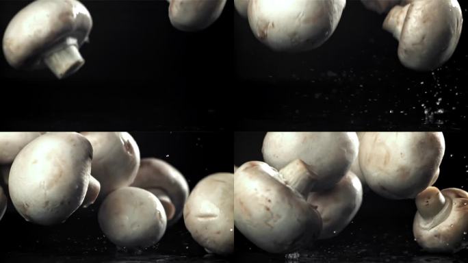 蘑菇落在黑色的背景上。用高速摄像机拍摄，每秒1000帧。