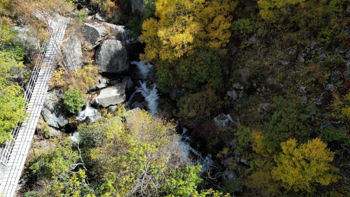 西藏达古峡谷山涧溪流秋色盛景