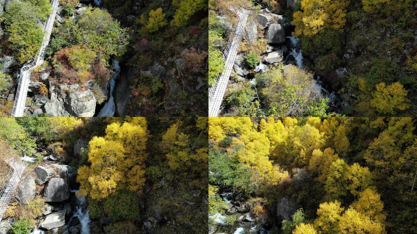 西藏达古峡谷山涧溪流秋色盛景