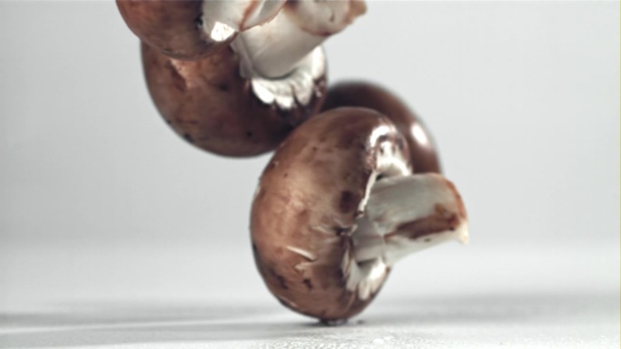 落在白色背景上的蘑菇。用高速摄像机拍摄，每秒1000帧。