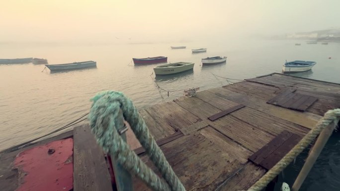 漫步在一条饱经风雨的木板路上，小渔船平静地漂浮在水面上。海鸥在雾蒙蒙的天空中滑翔，体现了海洋生物的概