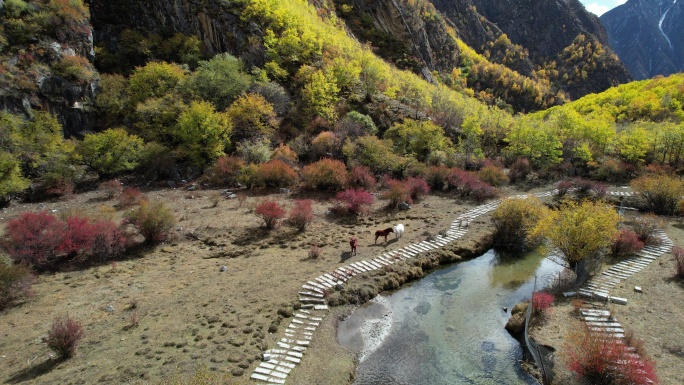 达古峡谷的山涧秋色和马