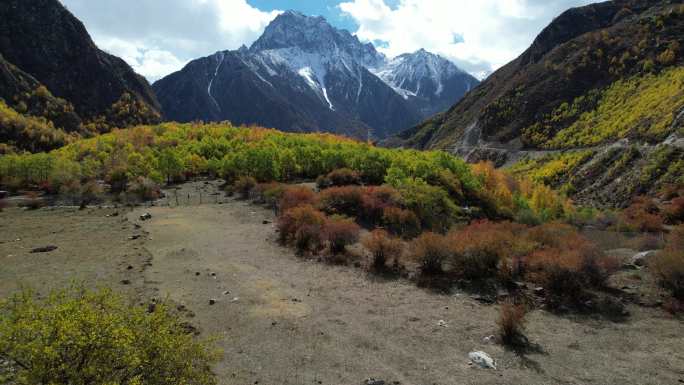 达古峡谷的山涧秋色掠过黄色树林的树梢