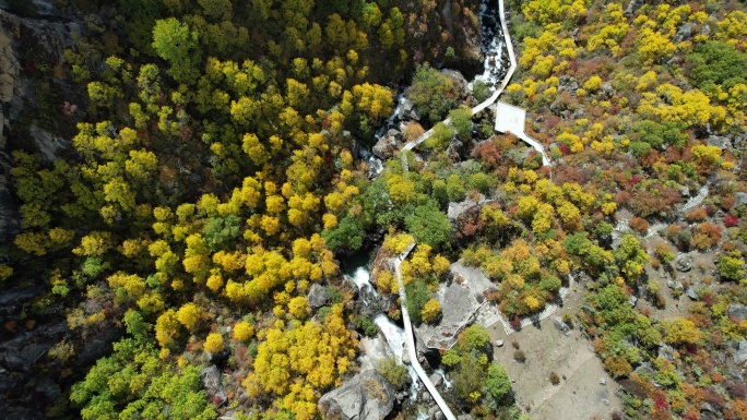 山间树林秋景俯拍镜头