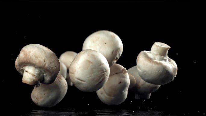 蘑菇落在黑色的背景上。用高速摄像机拍摄，每秒1000帧。